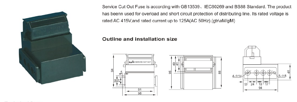 Service Cut Out Fuse JG Series